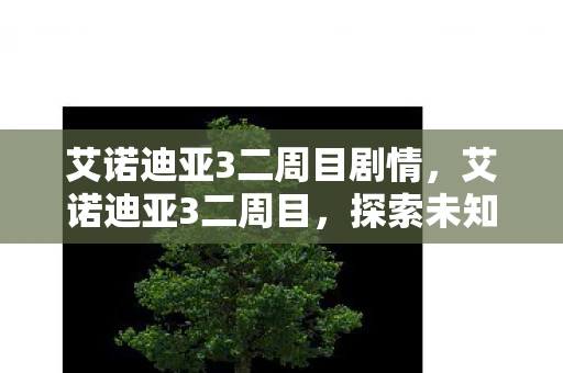 艾诺迪亚3二周目剧情，艾诺迪亚3二周目，探索未知，挑战自我
