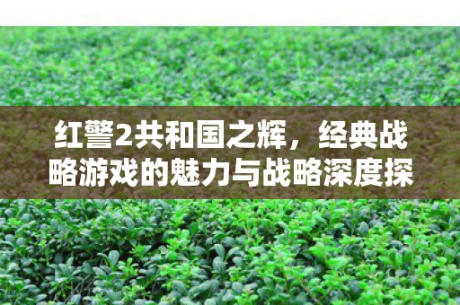 经典战略游戏的魅力与战略深度探索图片