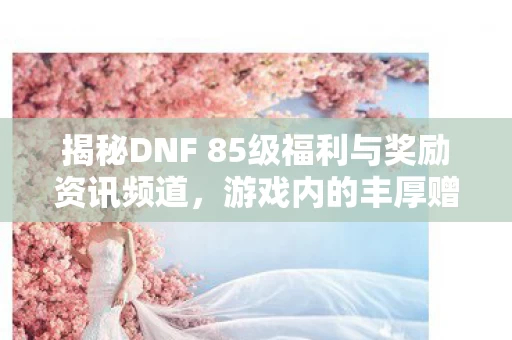 揭秘DNF 85级福利与奖励资讯频道图片