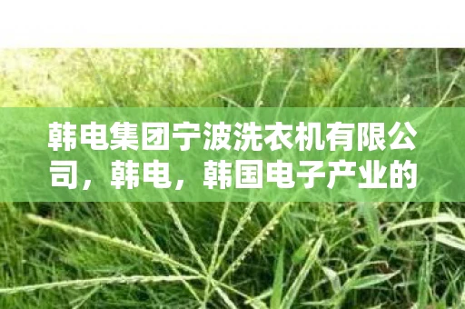 韩电集团宁波洗衣机有限公司，韩电，韩国电子产业的崛起与全球影响