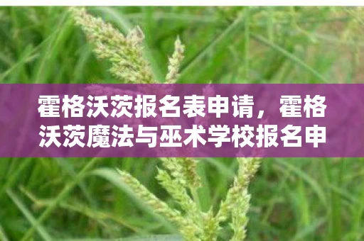 霍格沃茨报名表申请，霍格沃茨魔法与巫术学校报名申请表