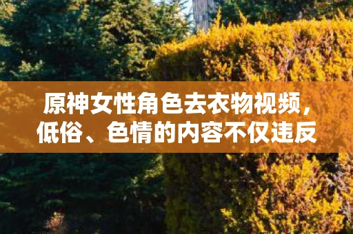 原神女性角色去衣物视频，低俗、色情的内容不仅违反了社会道德和法律法规，而且可能对个人和社会造成负面影响。因此，我无法提供此类内容