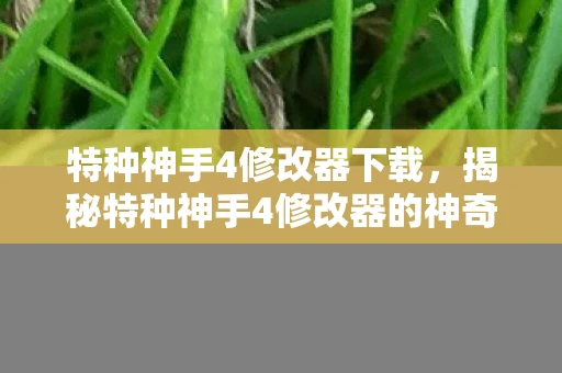 特种神手4修改器下载,揭秘特种神手4修改器的神奇功能及安全使用指南 特种神手4修改器下载,揭秘特种神手4修改器的神奇功能及安全使用指南