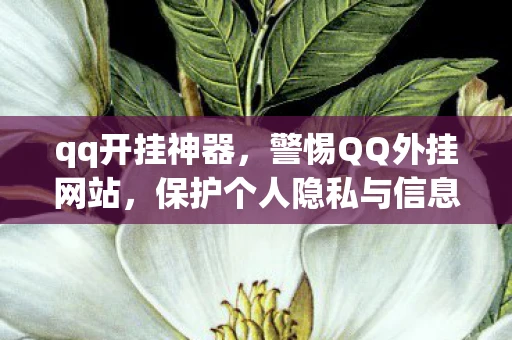 qq开挂神器，警惕QQ外挂网站，保护个人隐私与信息安全