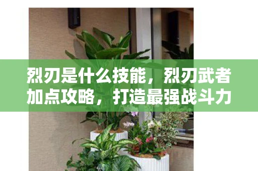 烈刃是什么技能,烈刃武者加点攻略,打造最强战斗力的关键 烈刃是什么技能,烈刃武者加点攻略,打造最强战斗力的关键