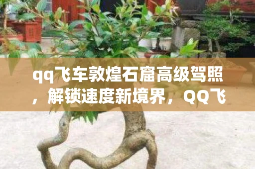 qq飞车敦煌石窟高级驾照，解锁速度新境界，QQ飞车高驾照敦煌石窟挑战攻略