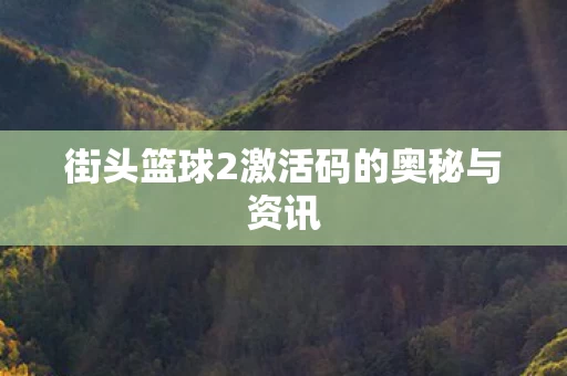 街头篮球2激活码的奥秘与资讯图片