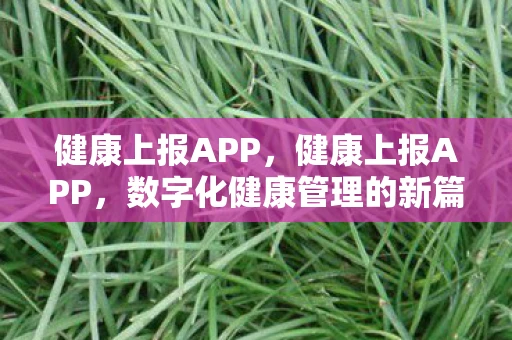 健康上报APP，健康上报APP，数字化健康管理的新篇章