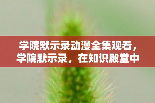 学院默示录动漫全集观看，学院默示录，在知识殿堂中寻找自我