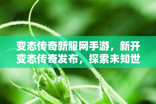 变态传奇新服网手游,新开变态传奇发布,探索未知世界的极致冒险 变态传奇新服网手游,新开变态传奇发布,探索未知世界的极致冒险