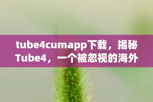 tube4cumapp下载，揭秘Tube4，一个被忽视的海外短视频平台