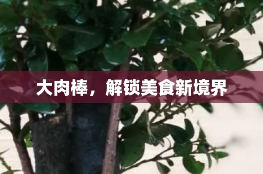 大肉棒，解锁美食新境界