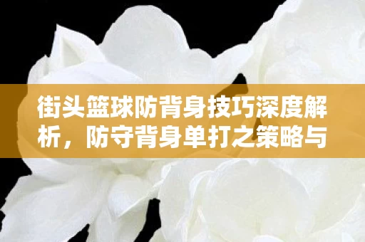 街头篮球防背身技巧深度解析图片