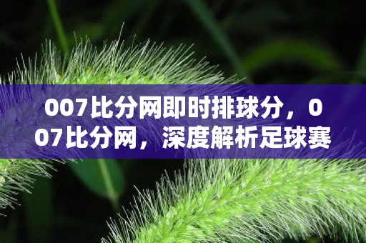 007比分网即时排球分，007比分网，深度解析足球赛事，精准预测引领潮流