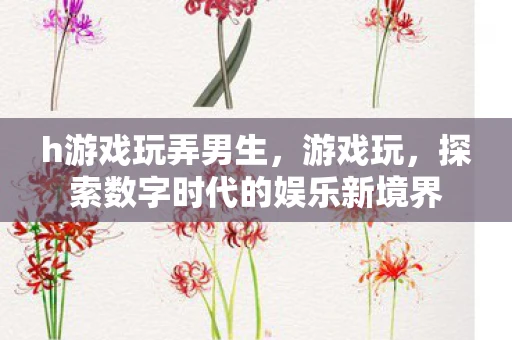 h游戏玩弄男生，游戏玩，探索数字时代的娱乐新境界