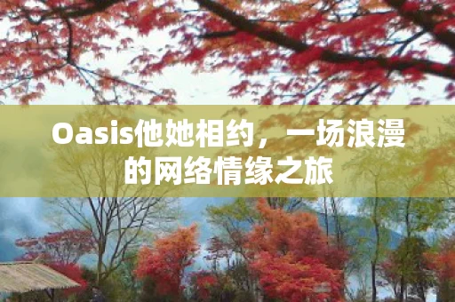 一场浪漫的网络情缘之旅图片