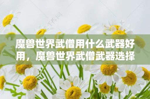 魔兽世界武僧用什么武器好用,魔兽世界武僧武器选择指南 魔兽世界武僧用什么武器好用,魔兽世界武僧武器选择指南