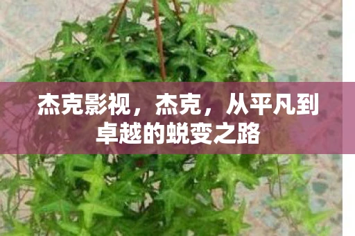 杰克影视，杰克，从平凡到卓越的蜕变之路