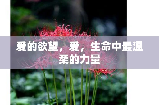 爱的欲望，爱，生命中最温柔的力量