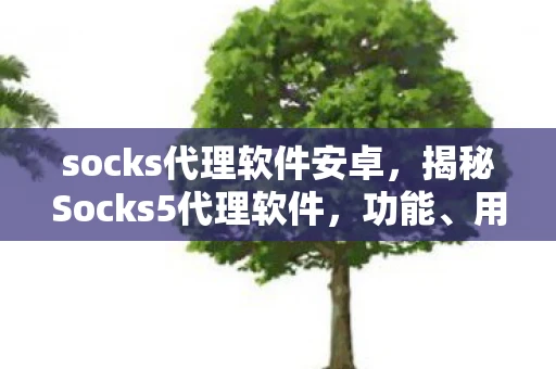 socks代理软件安卓，揭秘Socks5代理软件，功能、用途与选择指南