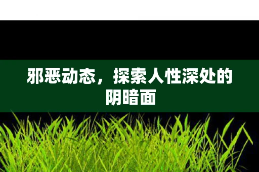 邪恶动态，探索人性深处的阴暗面
