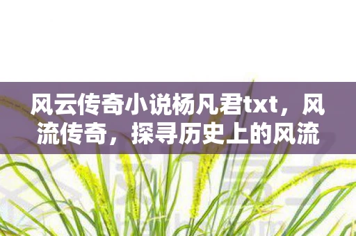 风云传奇小说杨凡君txt，风流传奇，探寻历史上的风流人物