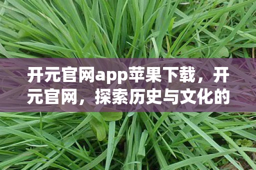 开元官网app苹果下载，开元官网，探索历史与文化的数字桥梁