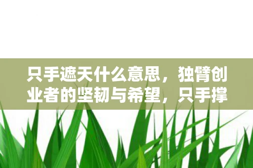 只手遮天什么意思，独臂创业者的坚韧与希望，只手撑起一片天