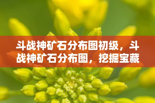 斗战神矿石分布图初级，斗战神矿石分布图，挖掘宝藏的指南