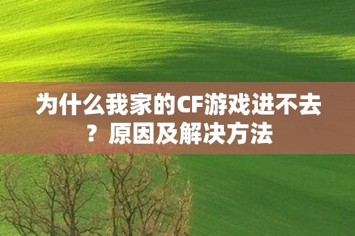 为什么我家的CF游戏进不去图片