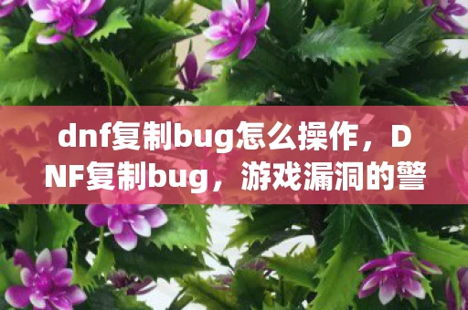 dnf复制bug怎么操作,DNF复制bug,游戏漏洞的警示与反思 dnf复制bug怎么操作,DNF复制bug,游戏漏洞的警示与反思