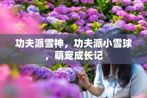 功夫派雪神，功夫派小雪球，萌宠成长记