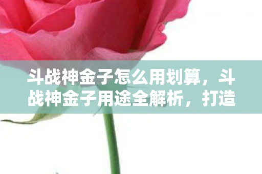 斗战神金子怎么用划算，斗战神金子用途全解析，打造、交易、提升战力必备