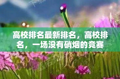 高校排名最新排名，高校排名，一场没有硝烟的竞赛