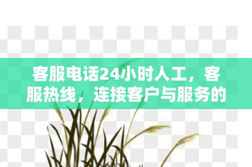 客服电话24小时人工，客服热线，连接客户与服务的桥梁