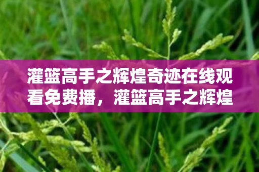 灌篮高手之辉煌奇迹在线观看免费播，灌篮高手之辉煌奇迹