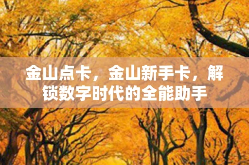 金山点卡，金山新手卡，解锁数字时代的全能助手