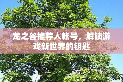 龙之谷推荐人帐号，解锁游戏新世界的钥匙