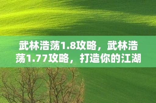 武林浩荡1.8攻略，武林浩荡1.77攻略，打造你的江湖传奇