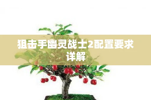 狙击手幽灵战士2配置要求详解