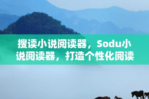 搜读小说阅读器，Sodu小说阅读器，打造个性化阅读体验，尽享阅读乐趣