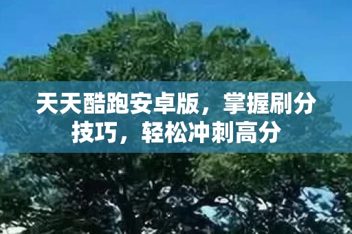 天天酷跑安卓版图片