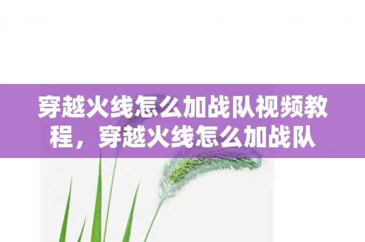 穿越火线怎么加战队视频教程，穿越火线怎么加战队