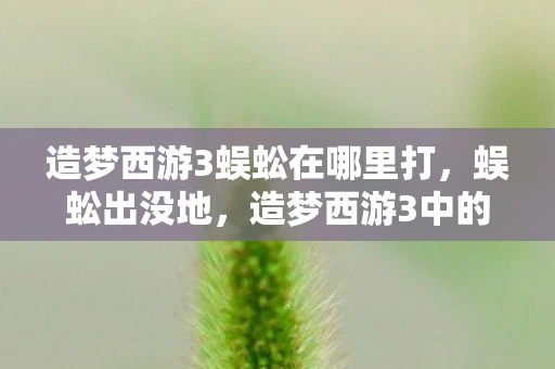 造梦西游3蜈蚣在哪里打，蜈蚣出没地，造梦西游3中的神秘生物