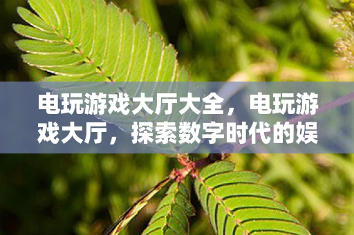 电玩游戏大厅大全，电玩游戏大厅，探索数字时代的娱乐新纪元