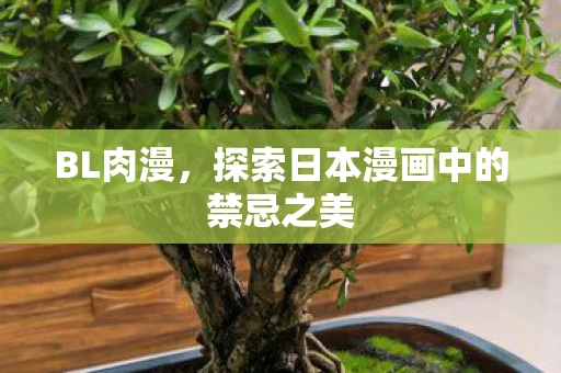BL肉漫，探索日本漫画中的禁忌之美
