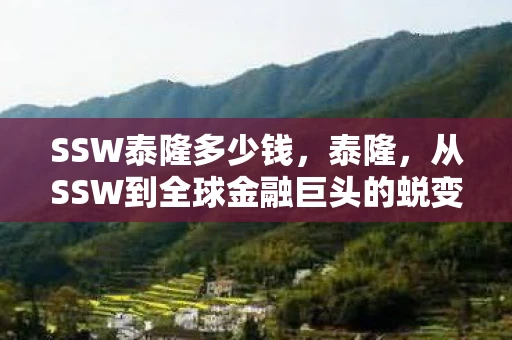SSW泰隆多少钱,泰隆,从SSW到全球金融巨头的蜕变 SSW泰隆多少钱,泰隆,从SSW到全球金融巨头的蜕变