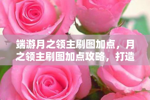 端游月之领主刷图加点，月之领主刷图加点攻略，打造高效战斗力的关键