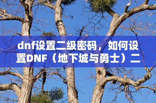 dnf设置二级密码,如何设置DNF(地下城与勇士)二级密码 dnf设置二级密码,如何设置DNF(地下城与勇士)二级密码
