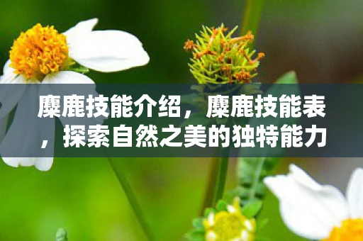 麋鹿技能介绍,麋鹿技能表,探索自然之美的独特能力 麋鹿技能介绍,麋鹿技能表,探索自然之美的独特能力